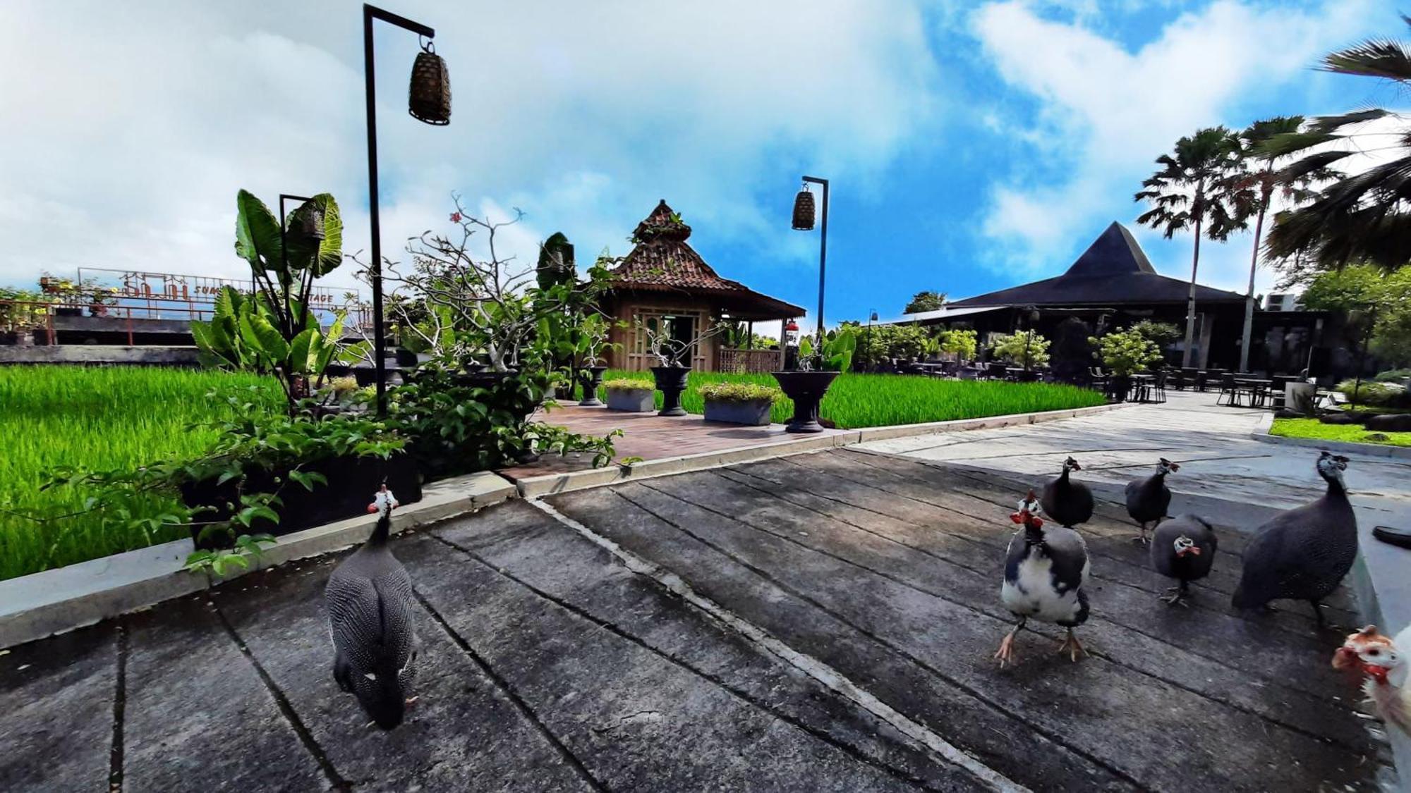 Abhayagiri - Sumberwatu Heritage Resort Randugunting Exterior photo