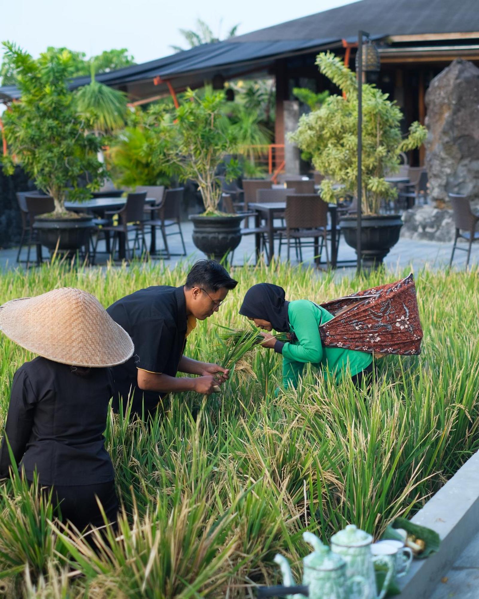 Abhayagiri - Sumberwatu Heritage Resort Randugunting Exterior photo